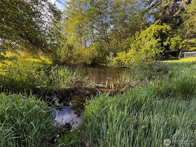 a view of a garden with a tree