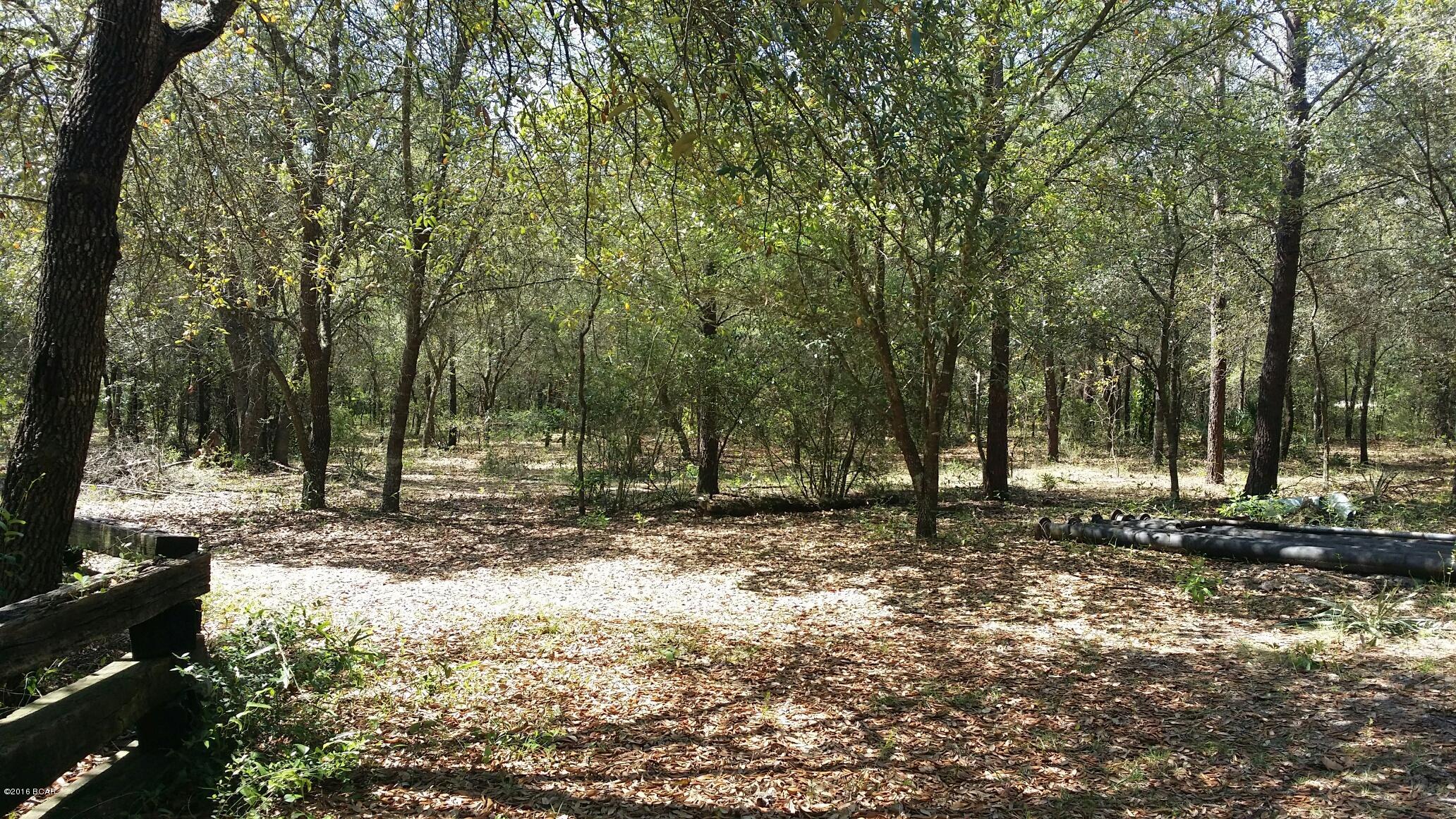 911 Spikes Road Southport, FL 32409 - Photo 3 of 9