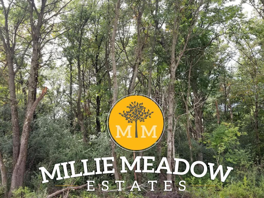 5064 Millie Road Southwest Rochester, MN 55902 - Photo 1 of 1