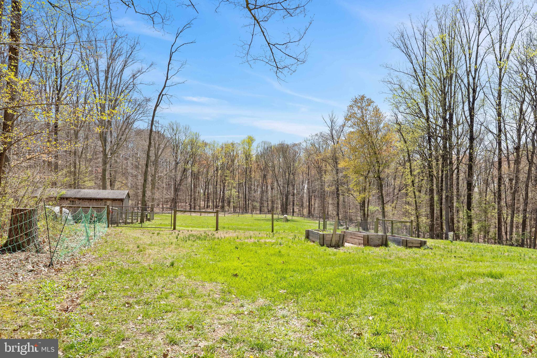 458 Tonys Road Elkton, MD 21921 - Photo 6 of 27 a view of swimming pool
