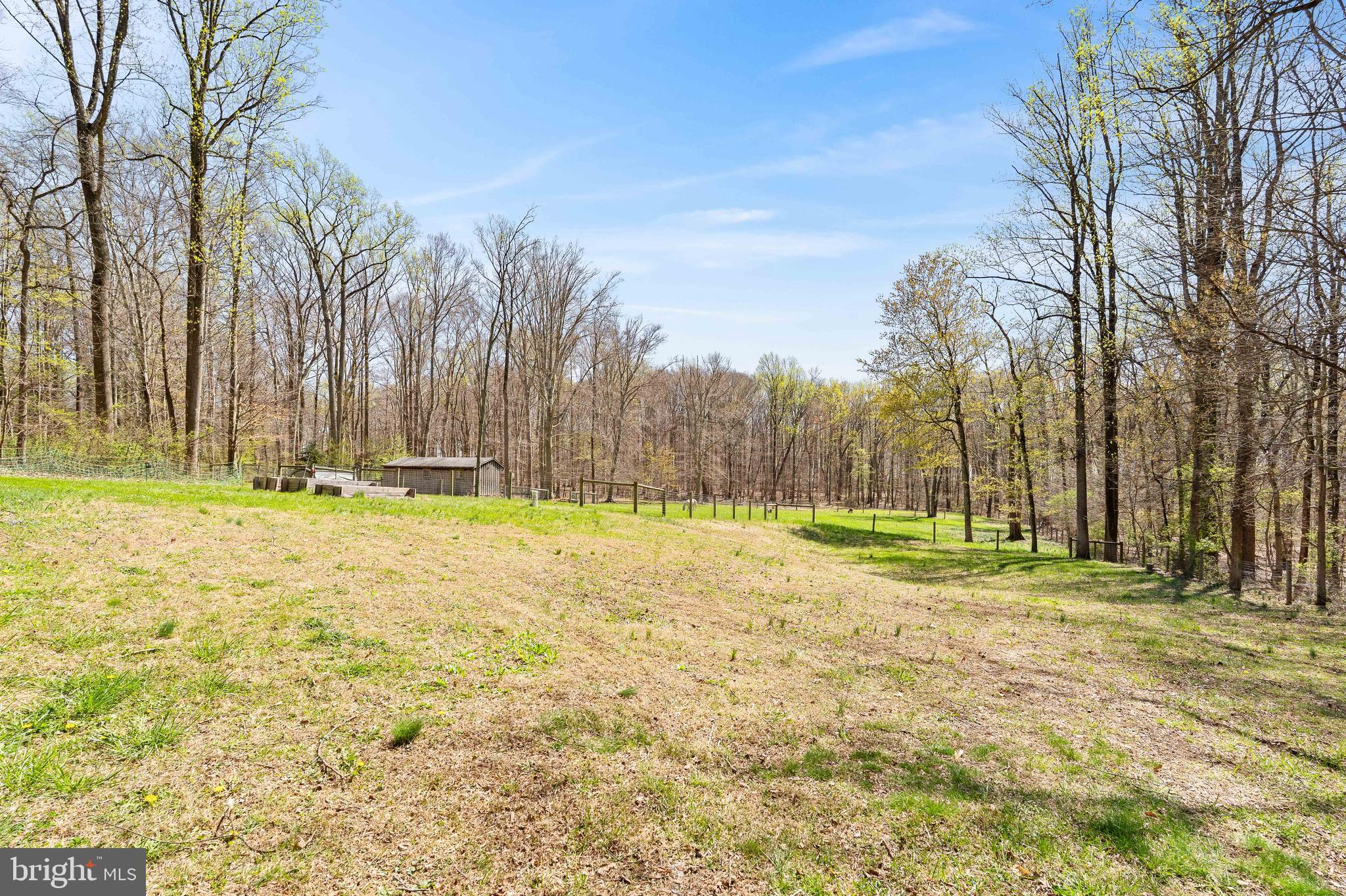 458 Tonys Road Elkton, MD 21921 - Photo 7 of 27 a yard with trees in the background