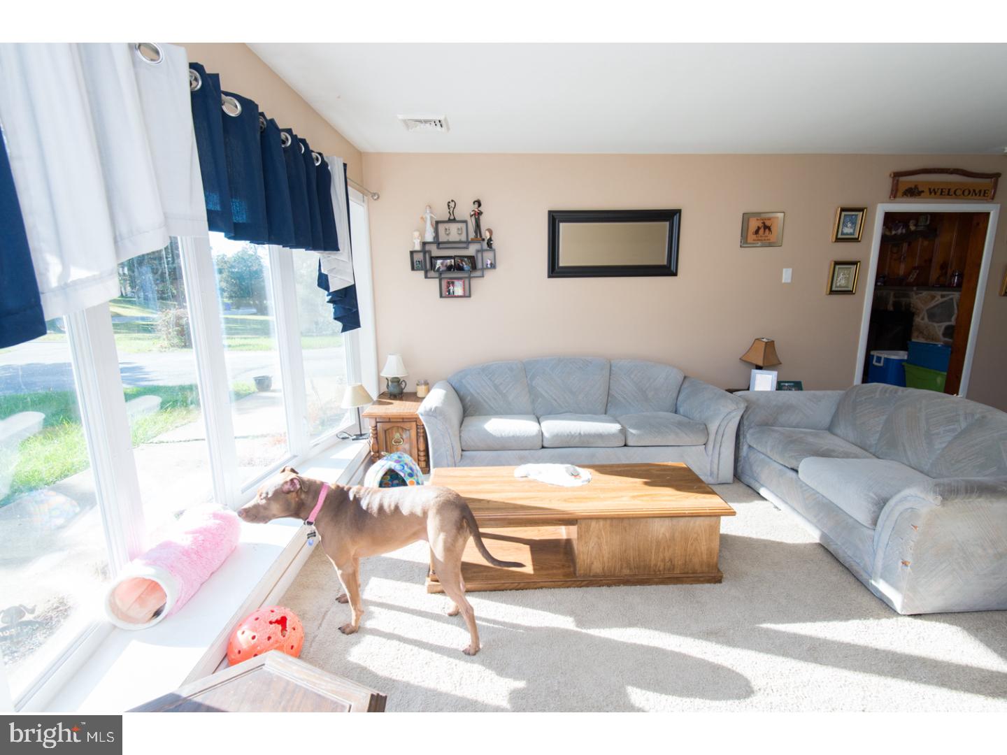 245 Lenni Road Media, PA 19063 - Photo 9 of 25 Living Room