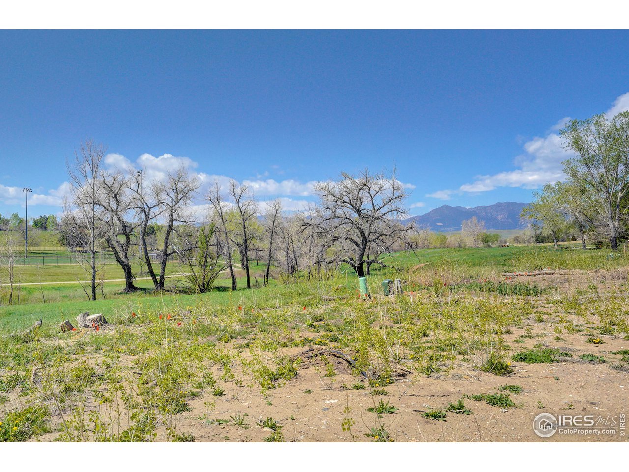 1302 Eldorado Drive Superior, CO 80027 - Photo 1 of 28 Capture the views!