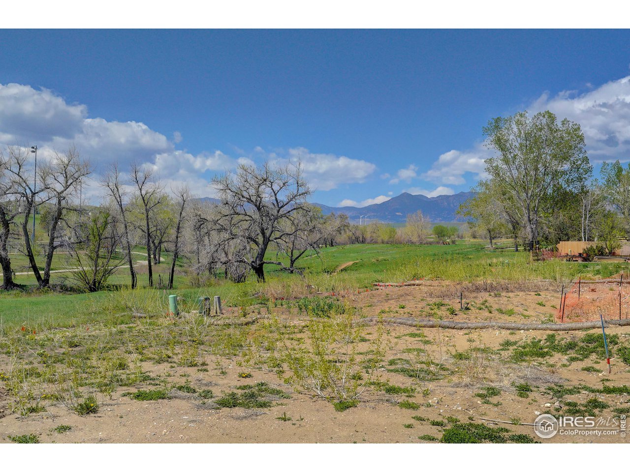 1302 Eldorado Drive Superior, CO 80027 - Photo 4 of 28