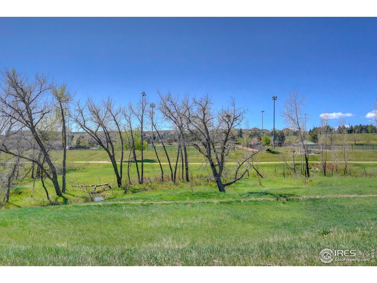 1302 Eldorado Drive Superior, CO 80027 - Photo 8 of 28