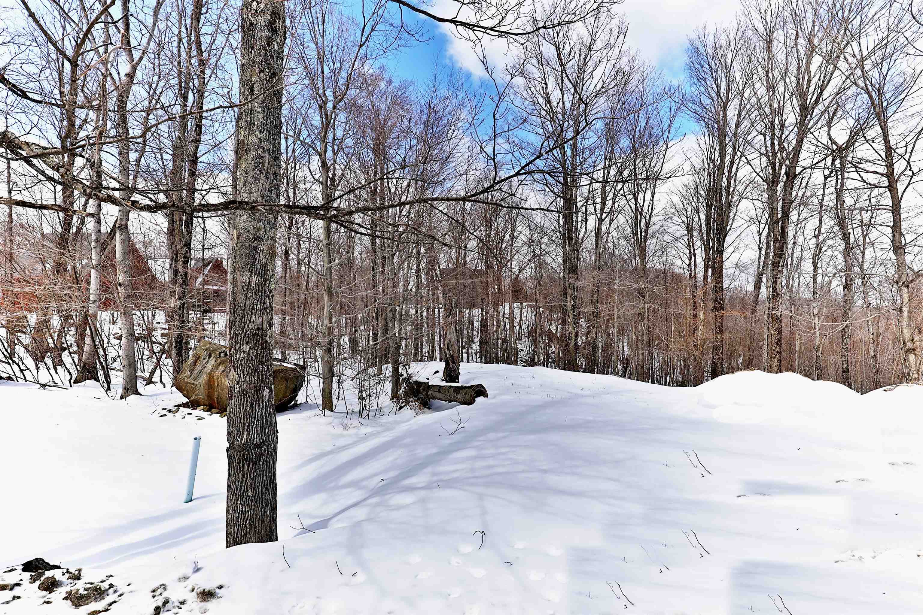 Lot 1 Ridgetop Estates, Unit 1 Killington, VT 05751 - Photo 8 of 16 Gallery Image 8