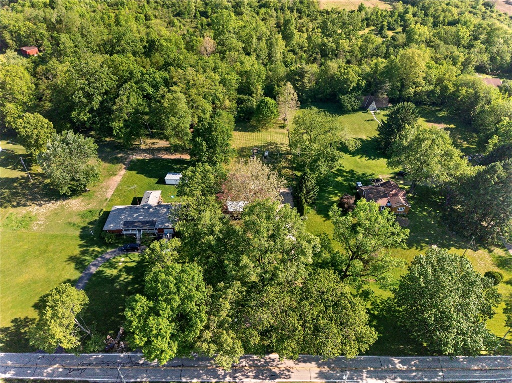 2684 Arthur Road Springfield, OH 45502 - Photo 68 of 69 This expansive property offers a private, serene setting amidst lush greenery and mature trees.
