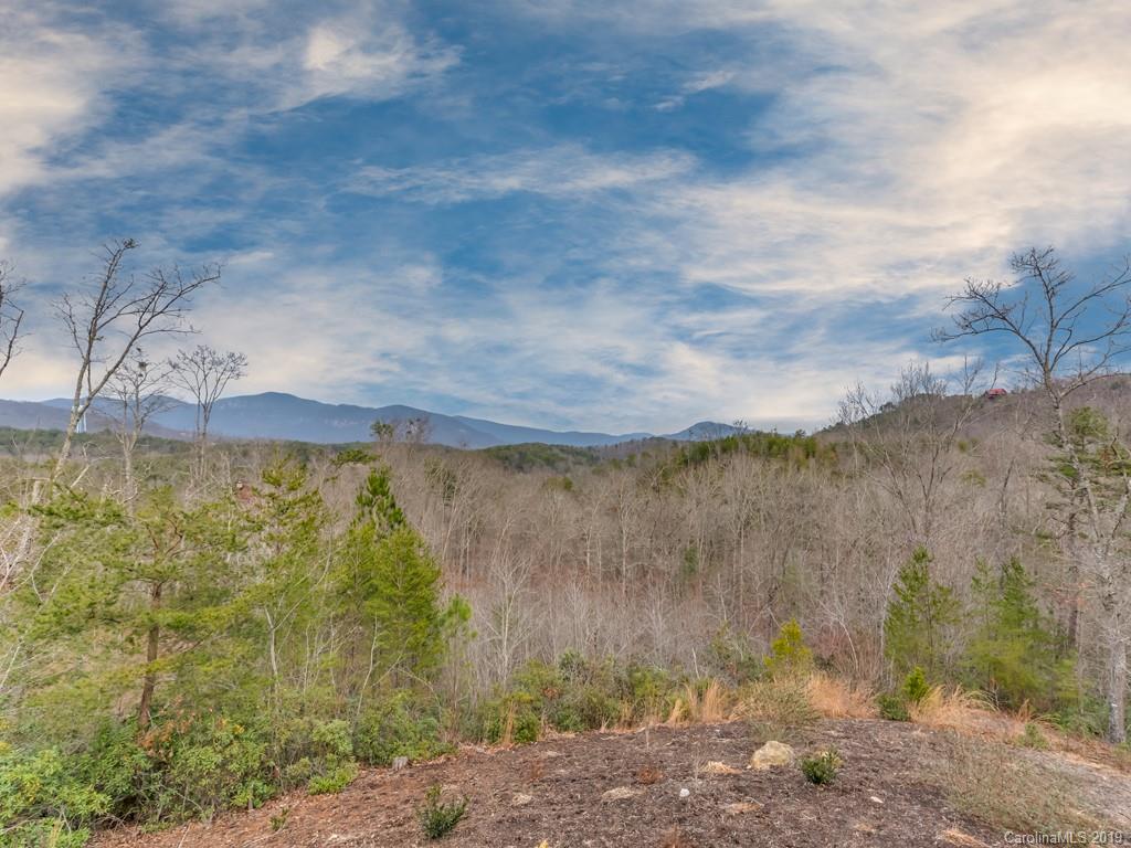170 Legend Drive Mill Spring, NC 28756 - Photo 10 of 41 Gallery Image 10