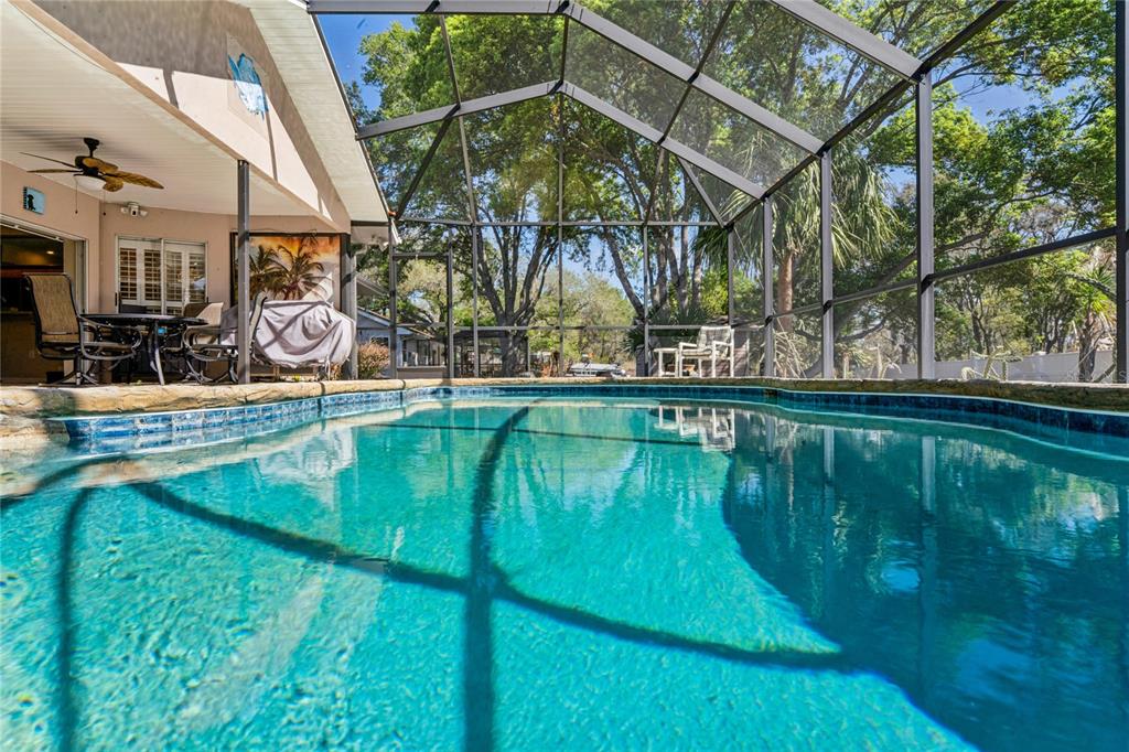 6324 India Drive Spring Hill, FL 34608 - Photo 50 of 68 a view of swimming pool with a yard