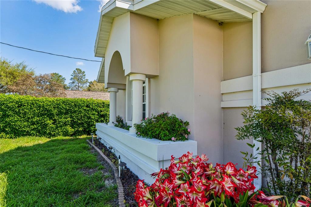 6324 India Drive Spring Hill, FL 34608 - Photo 60 of 68 a front view of a house having yard