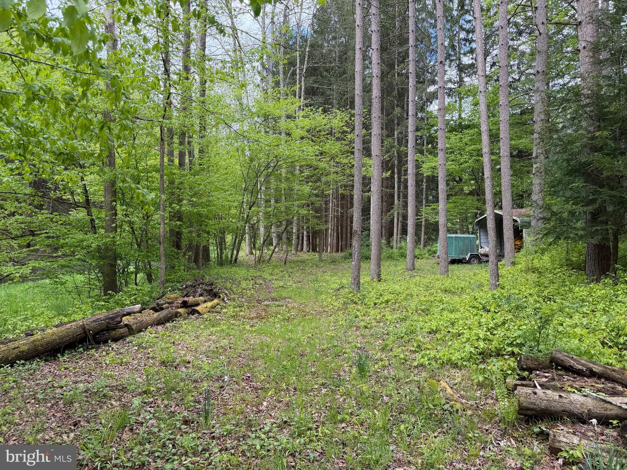 1227 Cross Fork Creek Road Cross Fork, PA 17729 - Photo 68 of 139