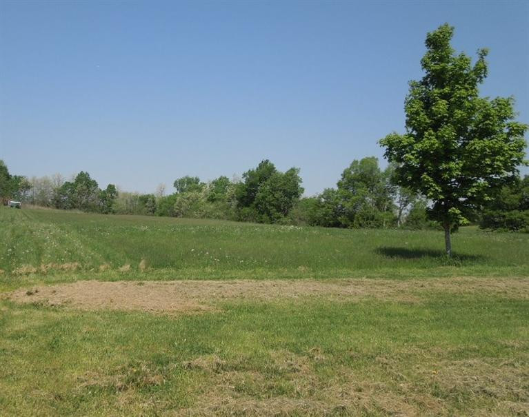515 Upper Salt River Road Danville, KY 40422 - Photo 5 of 47 Photo 5