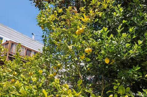 $1,425,000 | 1731 Grove Street, San Francisco, CA 94117