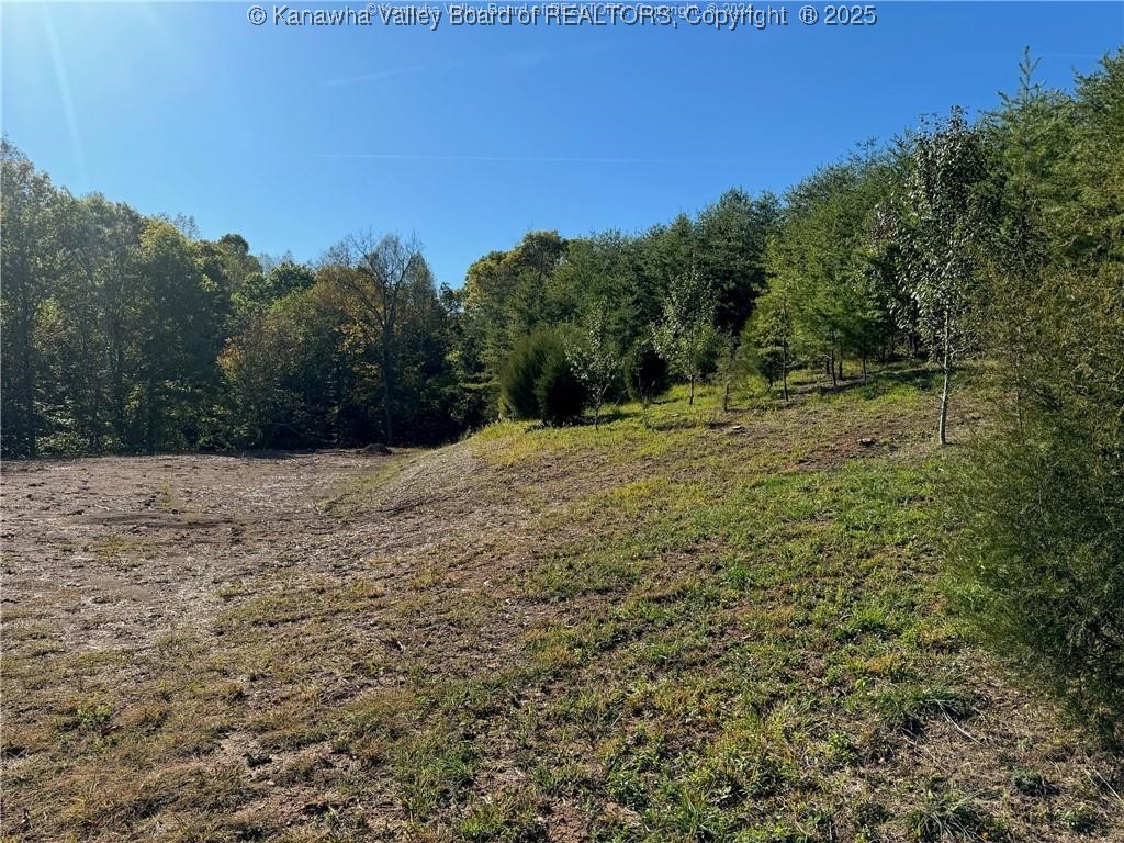 205 Ridgeview Drive Ripley, WV 25271 - Photo 2 of 15 Gallery Image 2