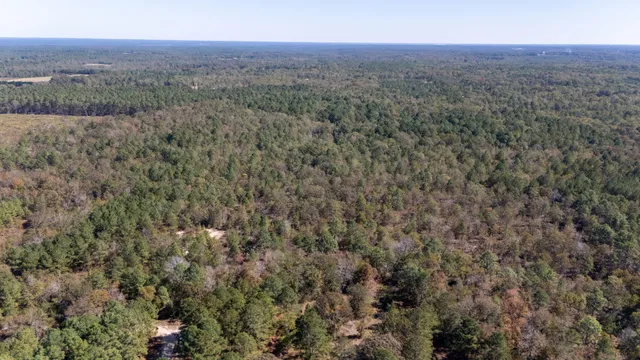 $596,000 | 3561 Old Ninety Six Indian Trail, Wagener, SC 29164