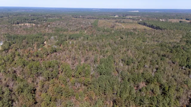 $596,000 | 3561 Old Ninety Six Indian Trail, Wagener, SC 29164