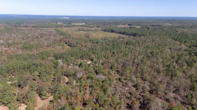 $596,000 | 3561 Old Ninety Six Indian Trail, Wagener, SC 29164