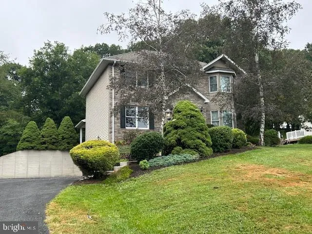 a view of a backyard with potted plants and large trees