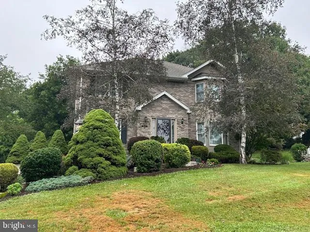 a view of a backyard with potted plants