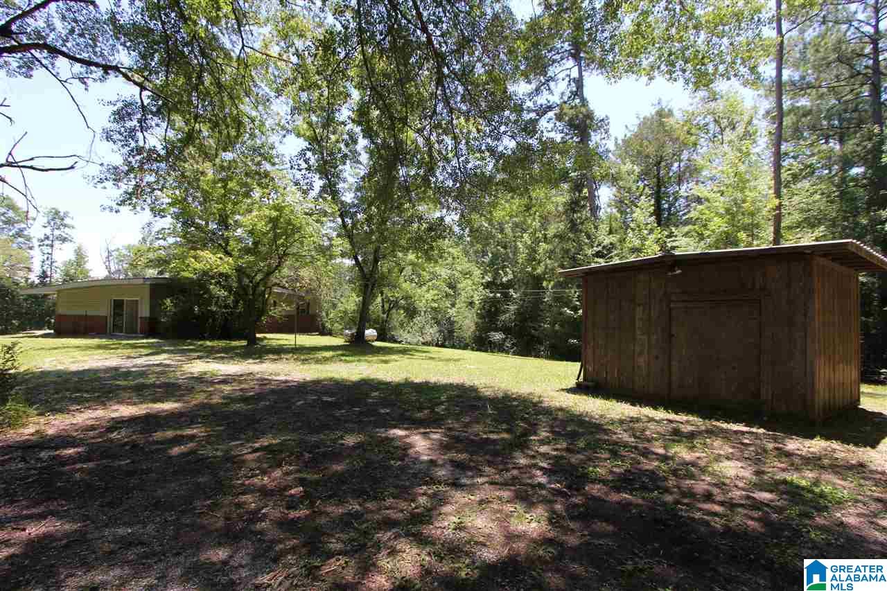 4363 Old Sulphur Springs Road Wellington, AL 36279 - Photo 30 of 37