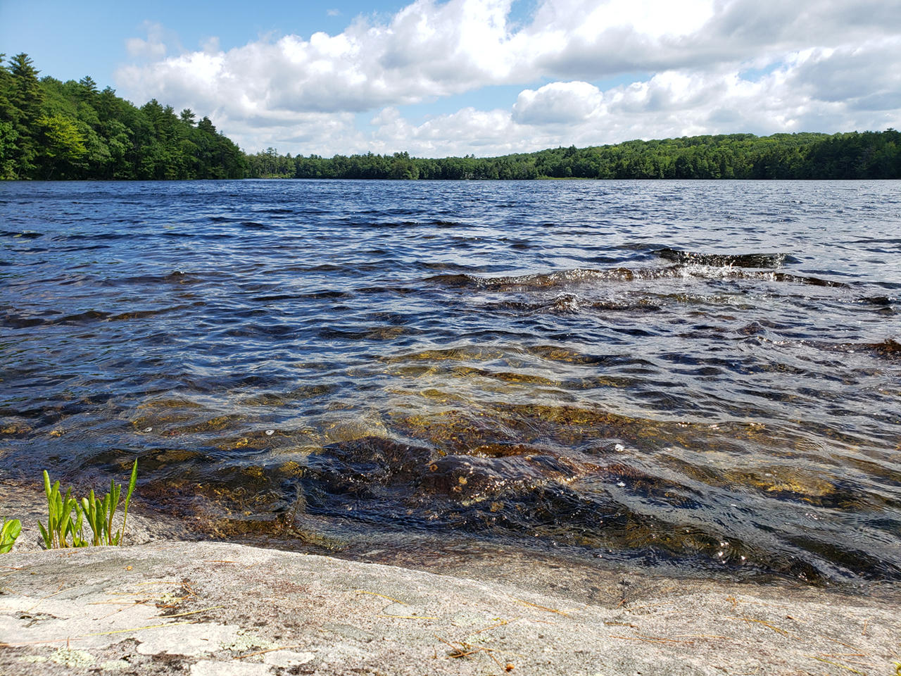 886 Biscay Road Bremen, ME 04551 - Photo 18 of 24 Rock and Water1280
