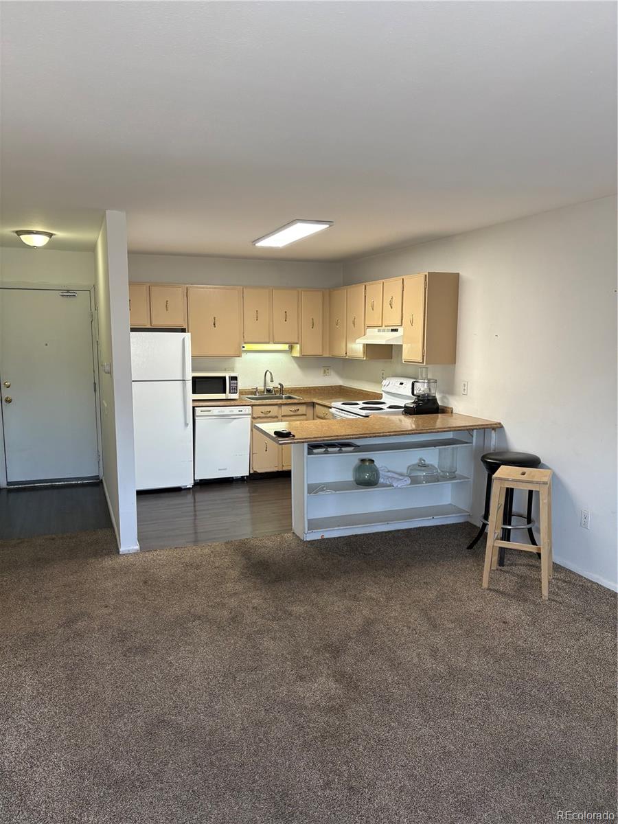 8330 Zuni Street, Unit 207 Denver, CO 80221 - Photo 4 of 19