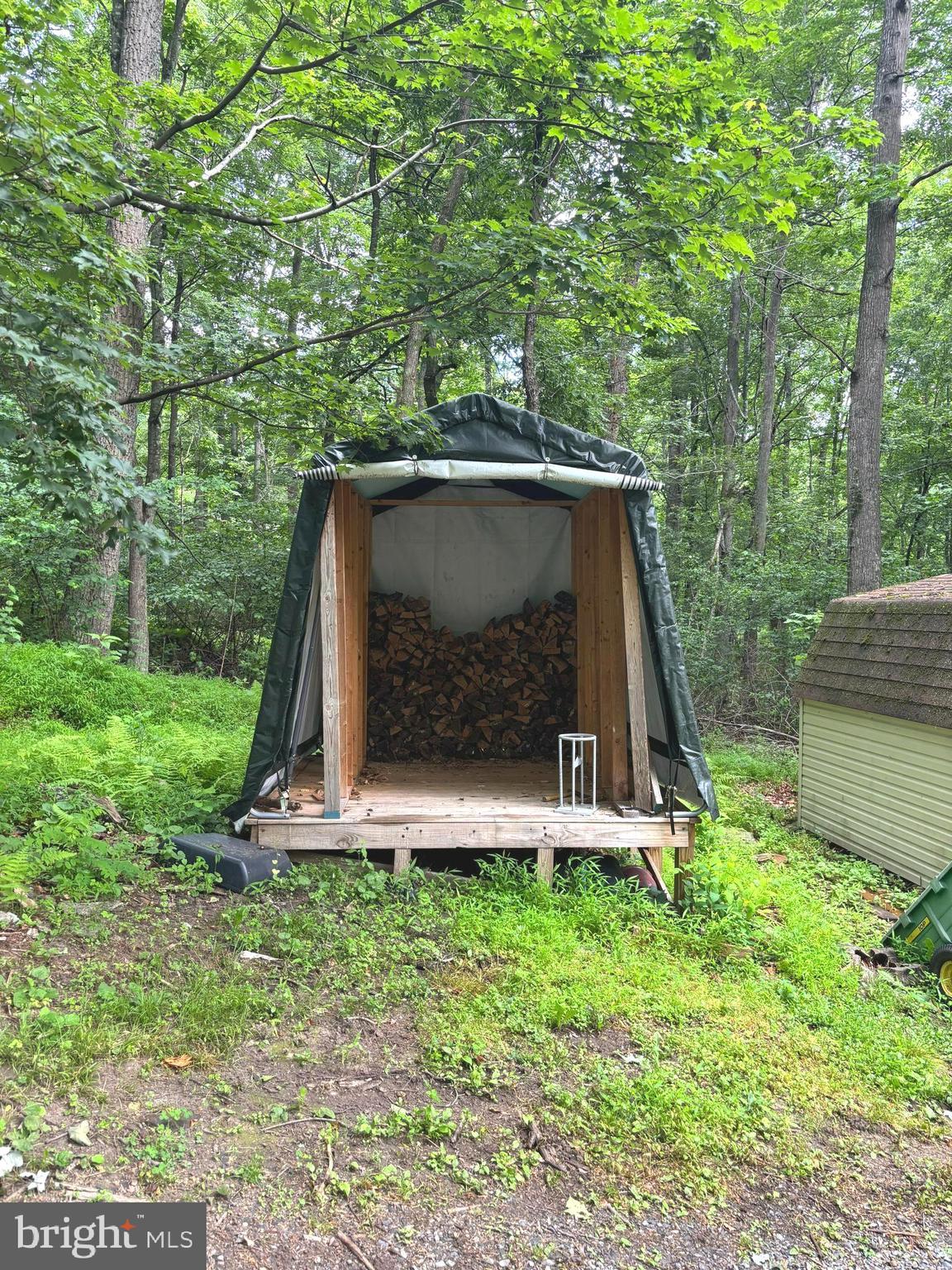 251 Riffey Mountain Lane Mathias, WV 26812 - Photo 28 of 33 Wood shed