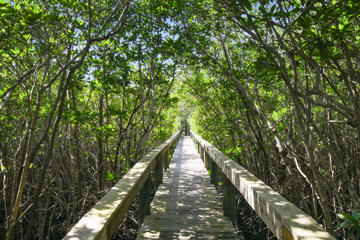 7831 Southeast Windjammer Way Hobe Sound, FL 33455 - Photo 65 of 80 DSC_4501