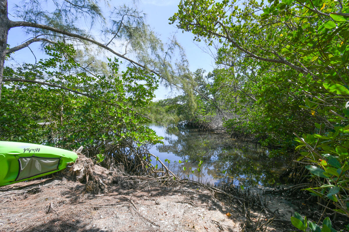 7831 Southeast Windjammer Way Hobe Sound, FL 33455 - Photo 67 of 80 a backyard of a house with lots of trees