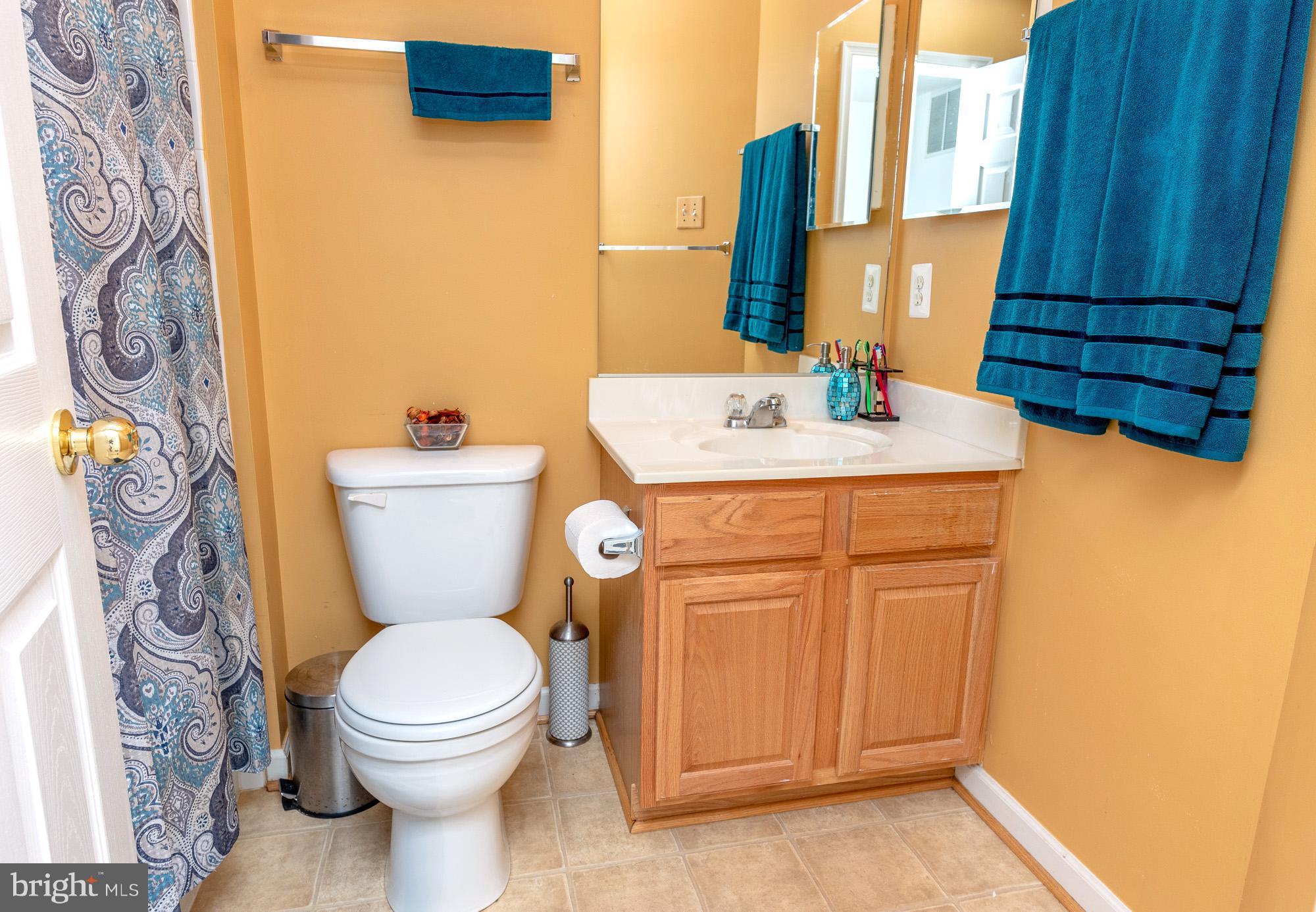 802 Tipton Road Middle River, MD 21220 - Photo 20 of 30 a bathroom with a sink a toilet and shower curtain