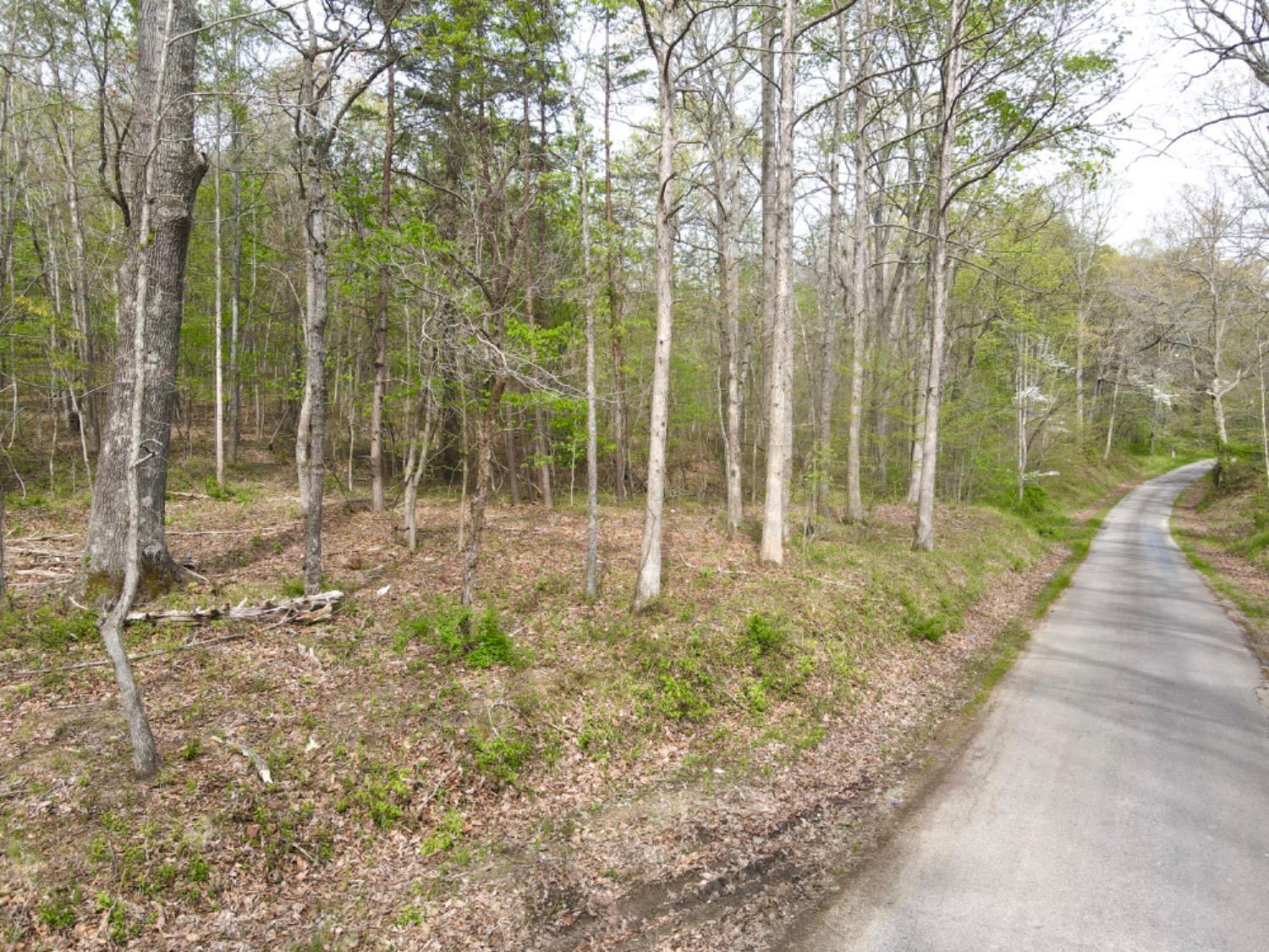 0 Bear Run Road South Webster, OH 45682 - Photo 11 of 48 Gallery Image 11