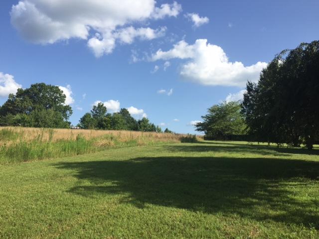 229 Cloud Road Trenton, GA 30752 - Photo 10 of 17 IMG_0169
