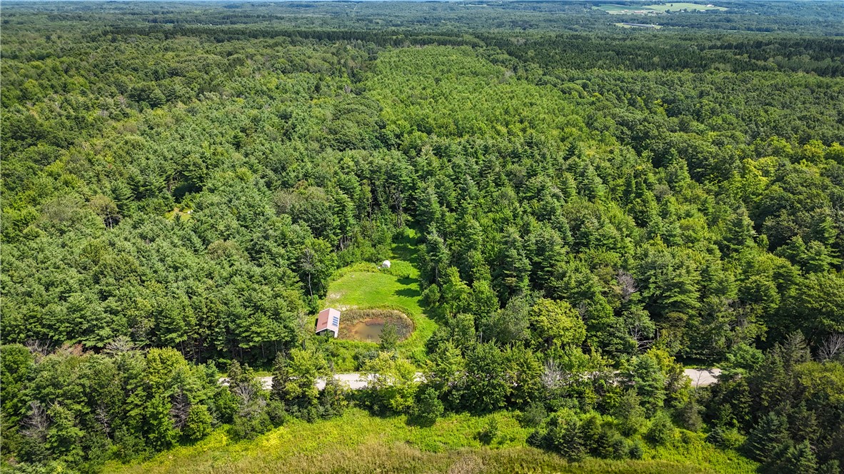 2512 Dunn Road Italy, NY 14418 - Photo 45 of 49 Gallery Image 45