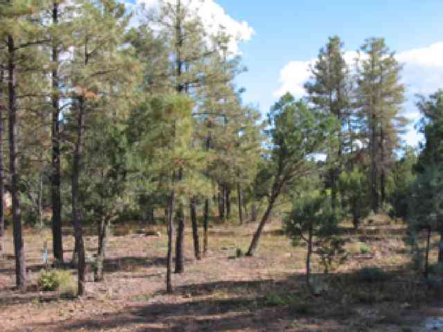 Lot 2 West Hawthorn Road Show Low, AZ 85901 - Photo 2 of 3