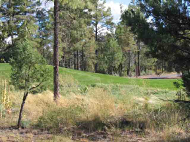 Lot 2 West Hawthorn Road Show Low, AZ 85901 - Photo 3 of 3