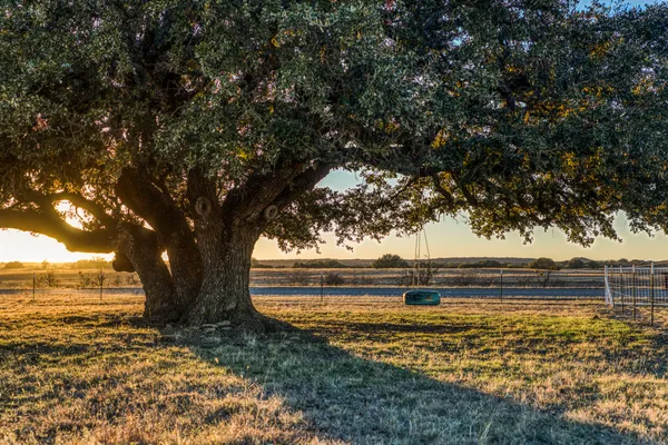 a view of an ocean beach
