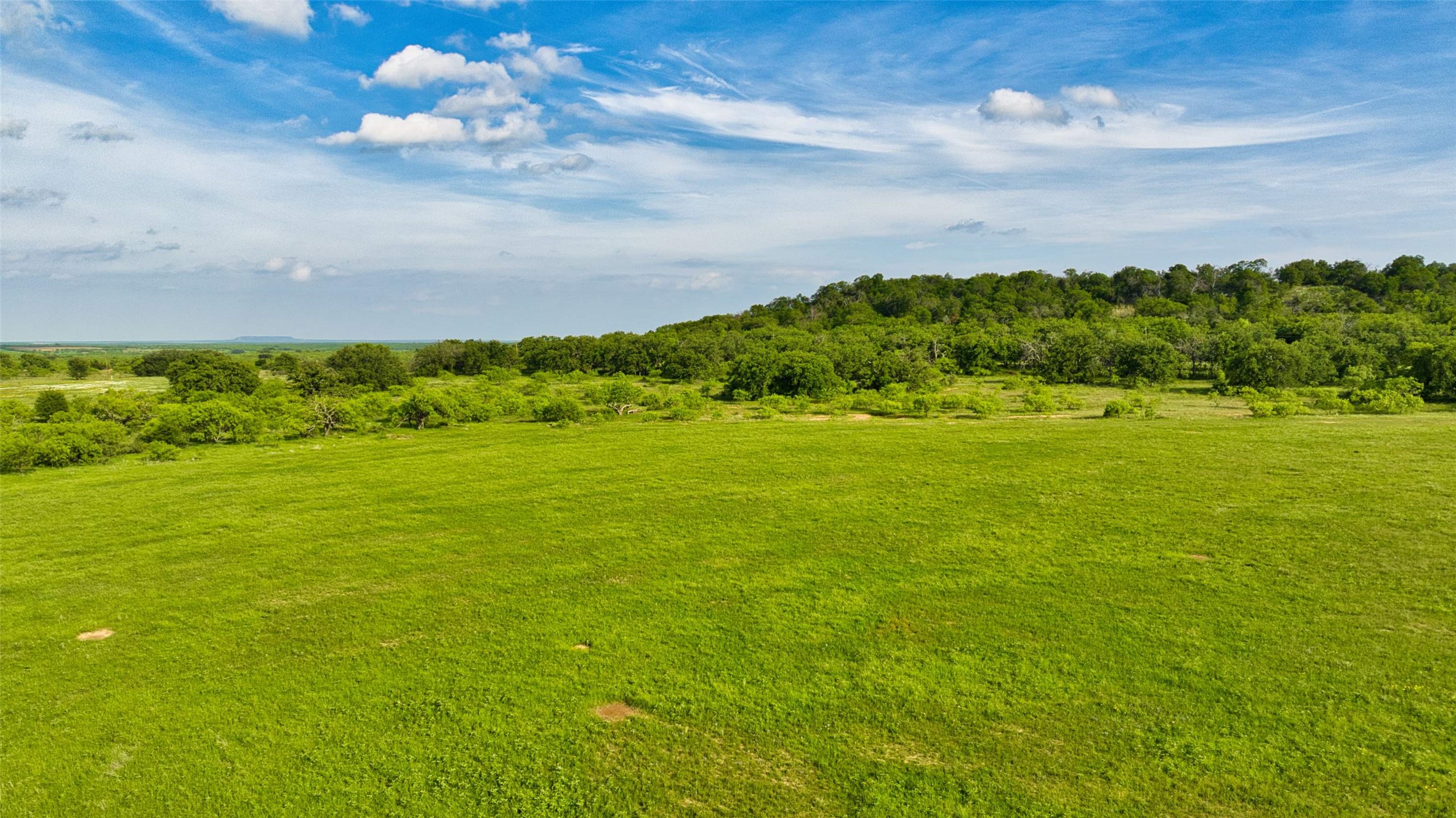 2387 Fm 503 Coleman, TX 76834 - Photo 38 of 40