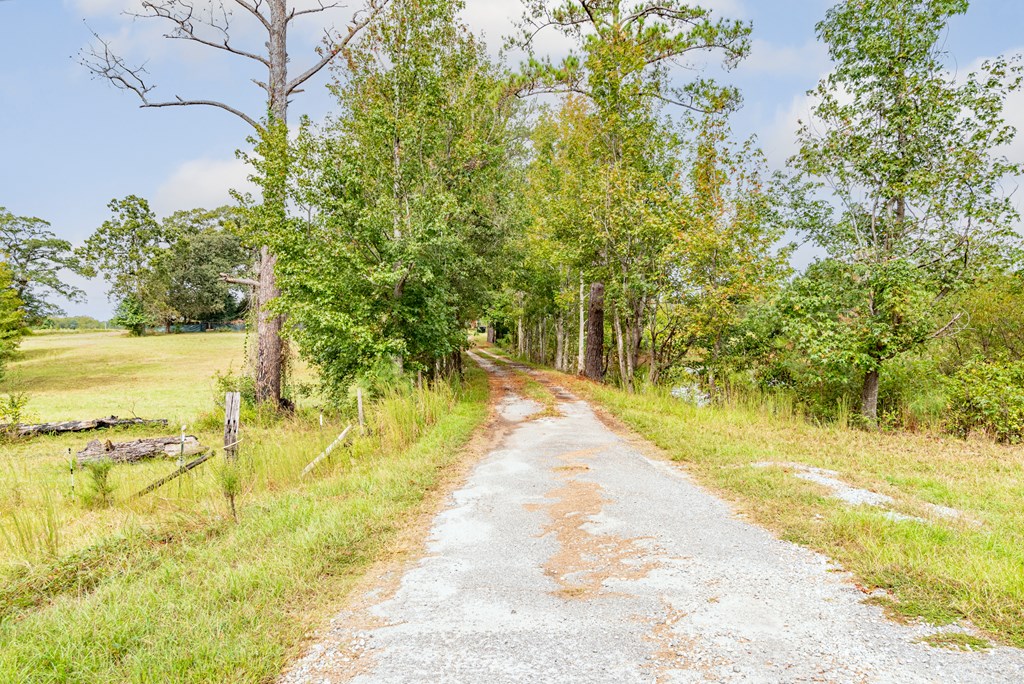 4508 Sandfort Road Seale, AL 36875 - Photo 15 of 61 Gallery Image 15