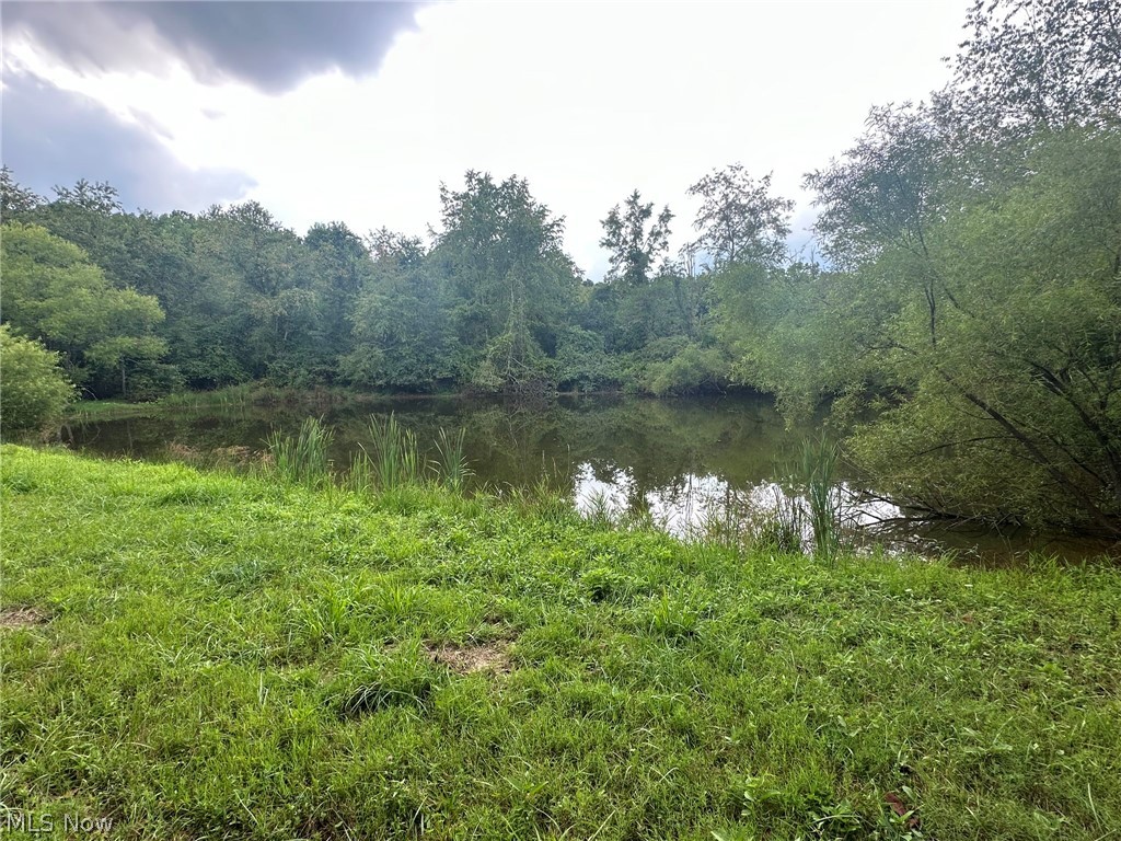 8174 Veto Road Belpre, OH 45714 - Photo 6 of 25 Pond View
