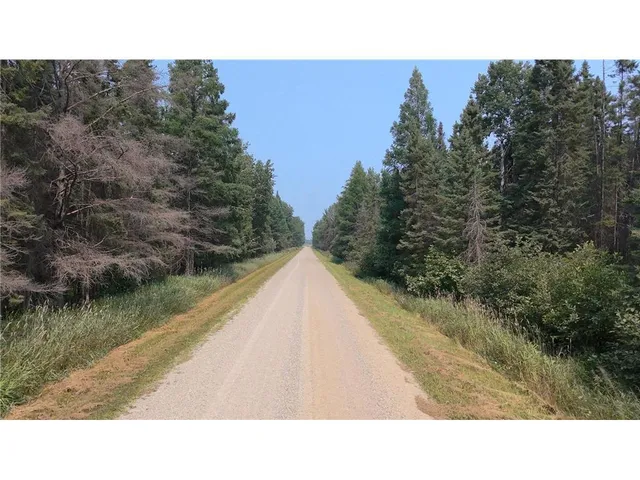 $74,800 | Tbd 40-acres Tbd 40-acres Sunflower, Kelliher, MN 56650