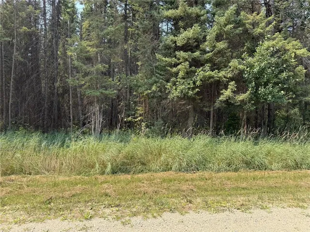 $74,800 | Tbd 40-acres Tbd 40-acres Sunflower, Kelliher, MN 56650