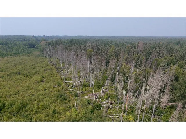 $74,800 | Tbd 40-acres Tbd 40-acres Sunflower, Kelliher, MN 56650