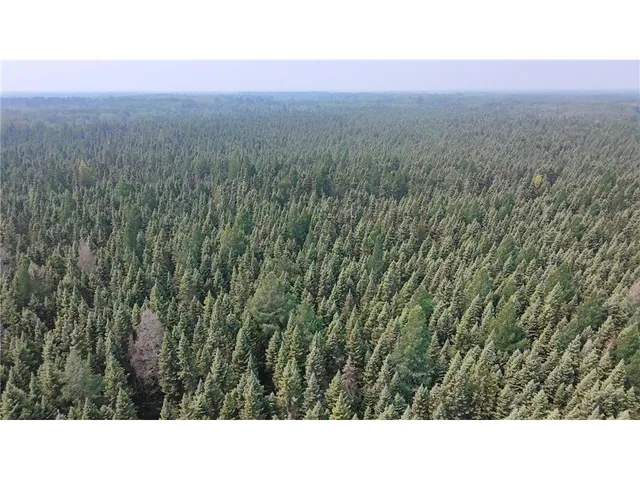 $74,800 | Tbd 40-acres Tbd 40-acres Sunflower, Kelliher, MN 56650