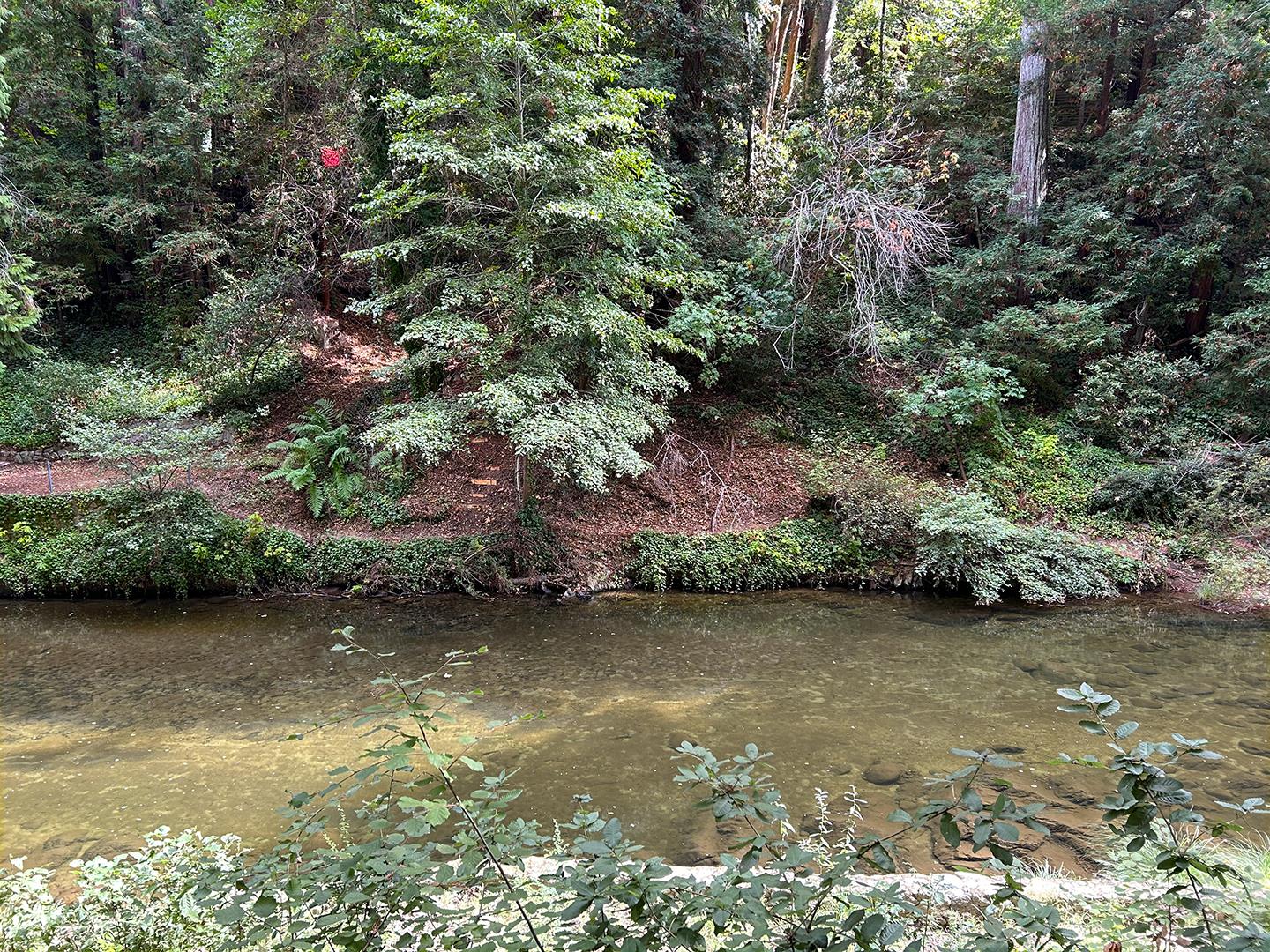 a view of a lake with houses