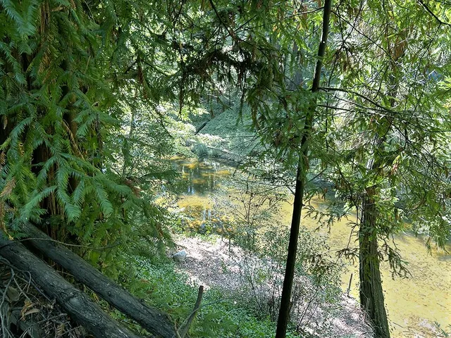 $39,000 | 11085 Riverside Road, Brookdale, CA 95005