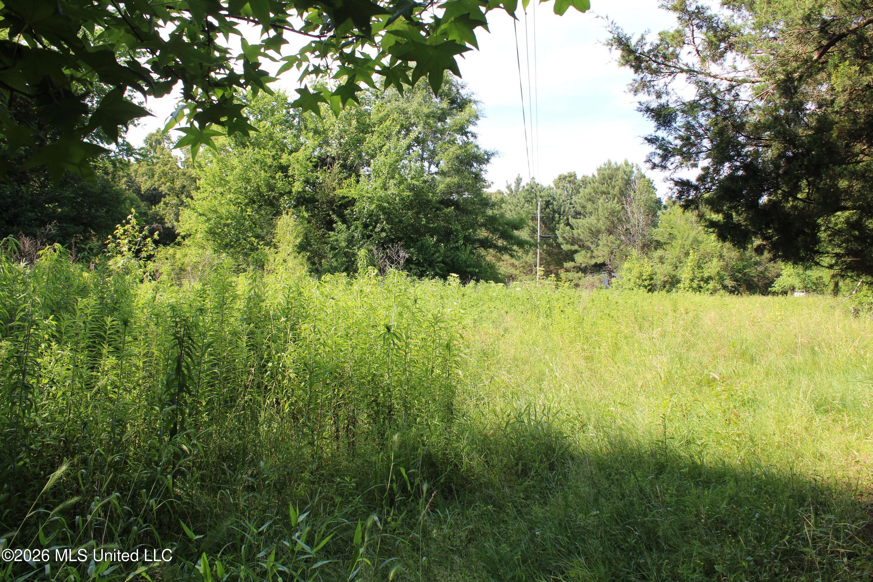 665 Briscoe Road Holly Springs, MS 38635 - Photo 17 of 18 IMG_7930