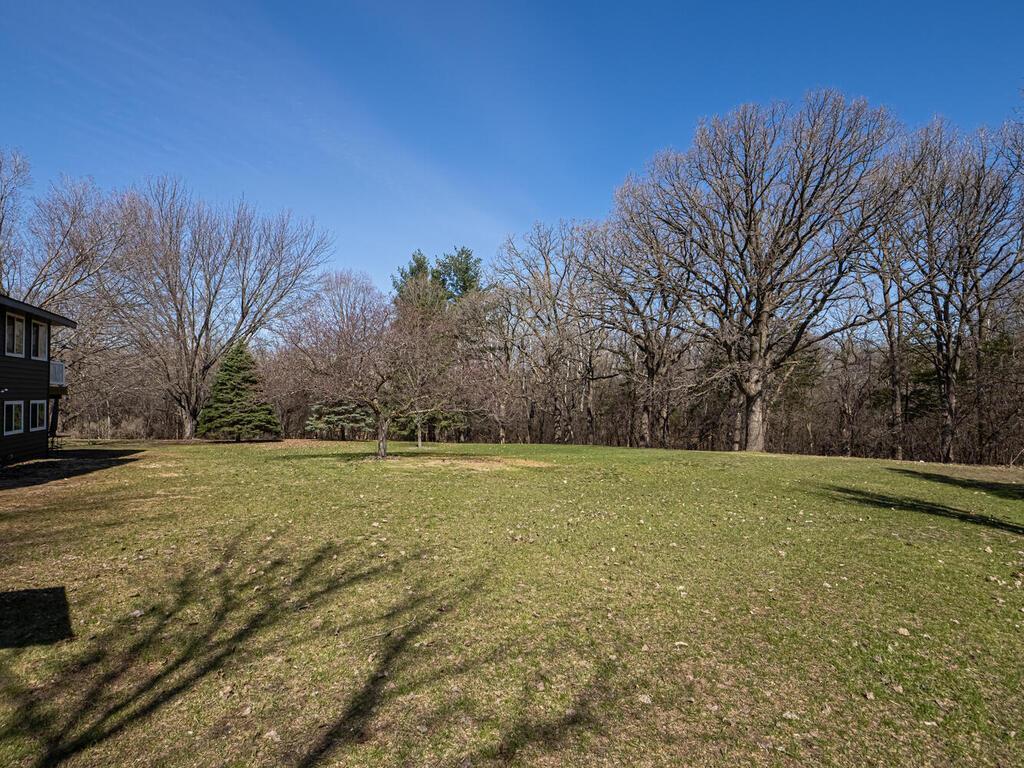 11708 Pheasant Ridge Drive Northwest Coon Rapids, MN 55433 - Photo 3 of 29