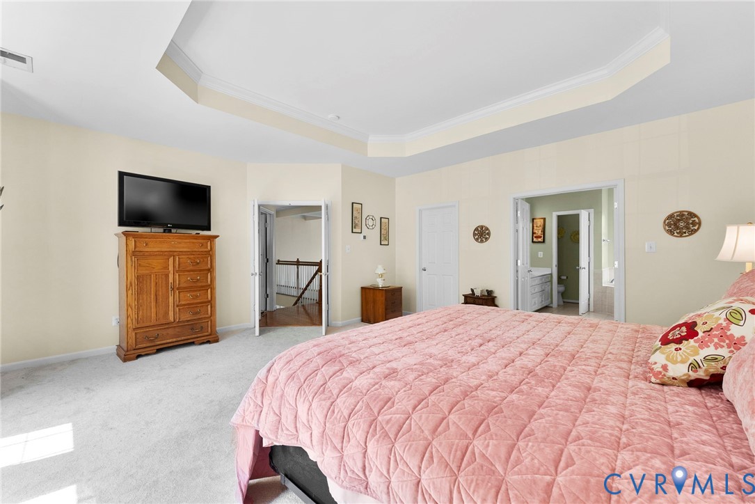 753 Blossom Tree Road Culpeper, VA 22701 - Photo 56 of 68 Recessed tray ceiling with crown molding, light-to