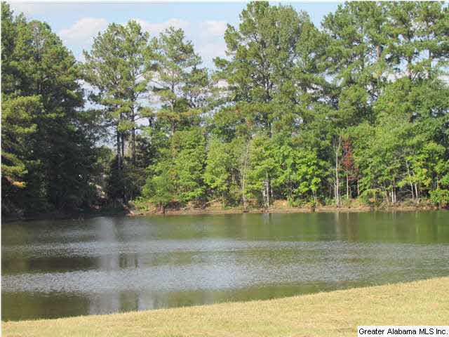 307 Kiowa Road Remlap, AL 35133 - Photo 7 of 20