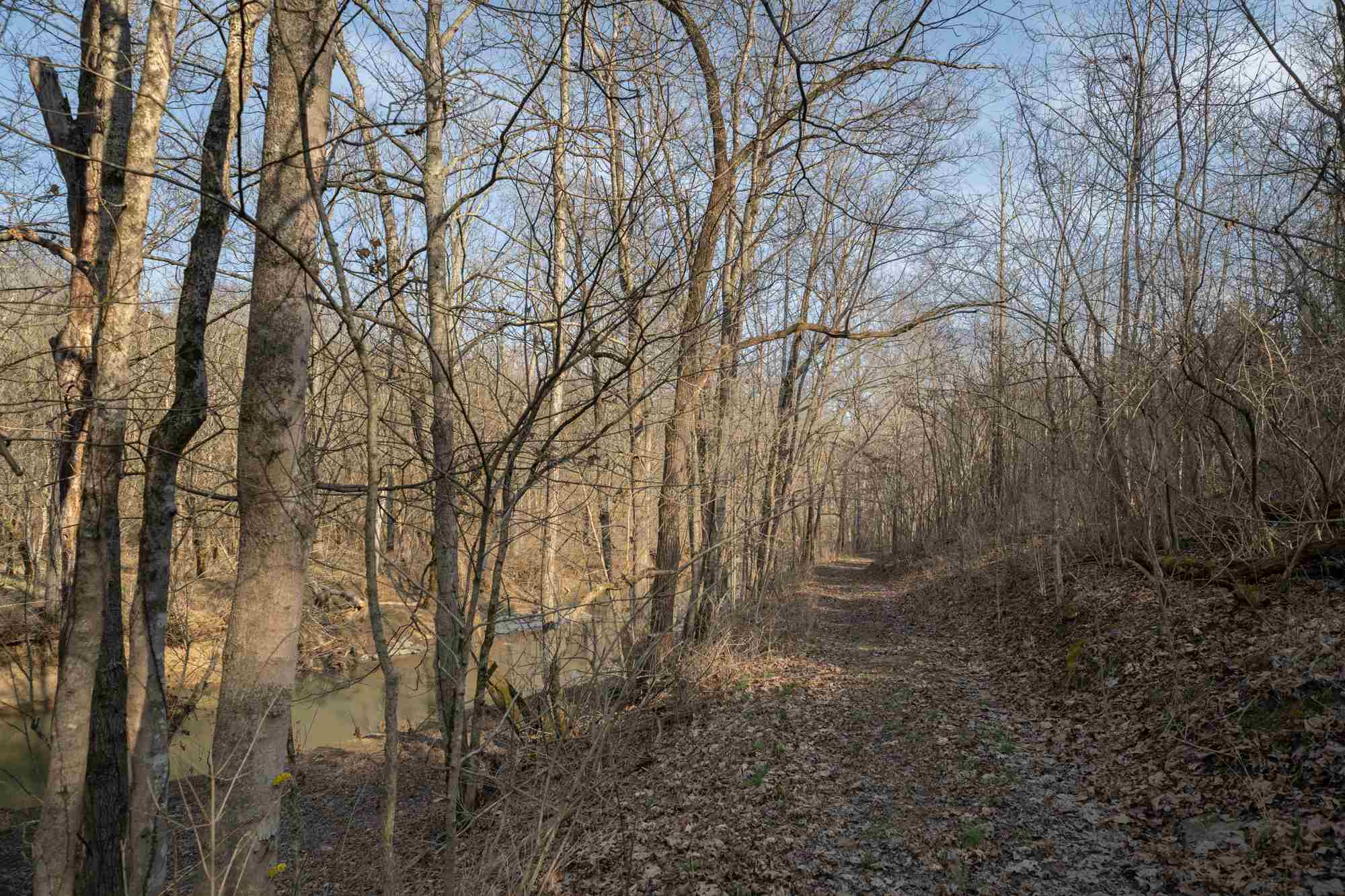 980 Greenville Road Dry Ridge, KY 41035 - Photo 35 of 46 Gallery Image 35